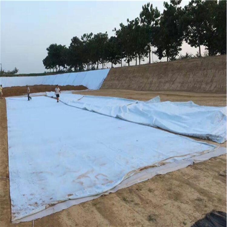 复合土工膜在水利工程防渗项目中的施工 复合土工膜在水利工程防渗项目中的施工