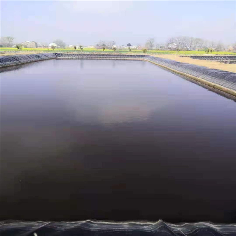 HDPE土工膜用于水产养殖的优点 HDPE土工膜用于水产养殖的优点