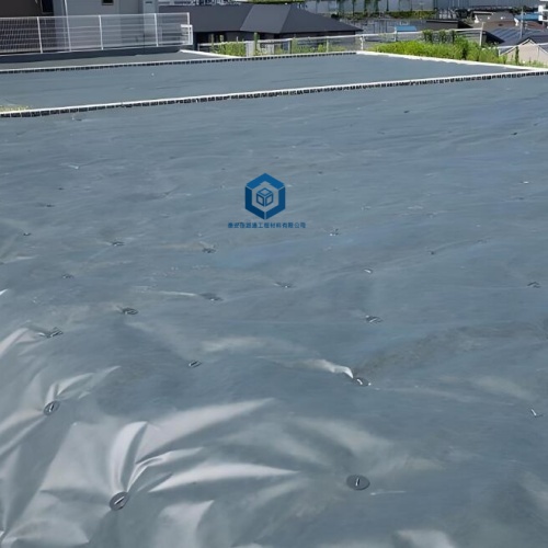 尾矿库选用防渗膜做防渗的原因