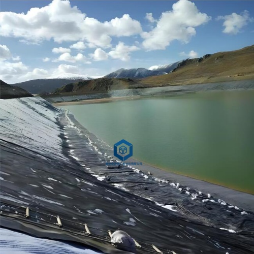 HDPE土工膜在水库防渗工程中的应用案例