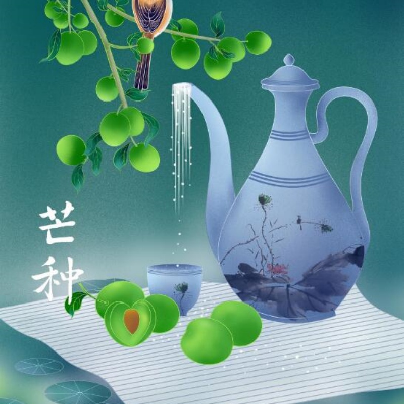 芒种至仲夏启 收种兼顾忆民俗 顺应时节巧养生